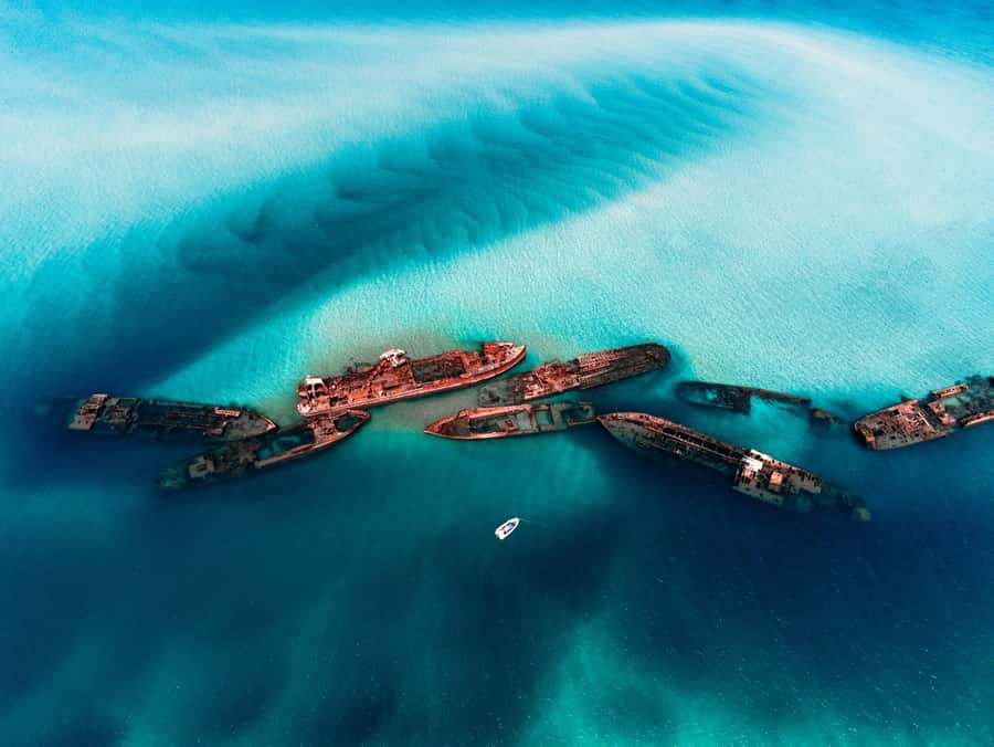 Brisbane: Moreton Island all inclusive Snorkeling Tour - Five things to know before you book