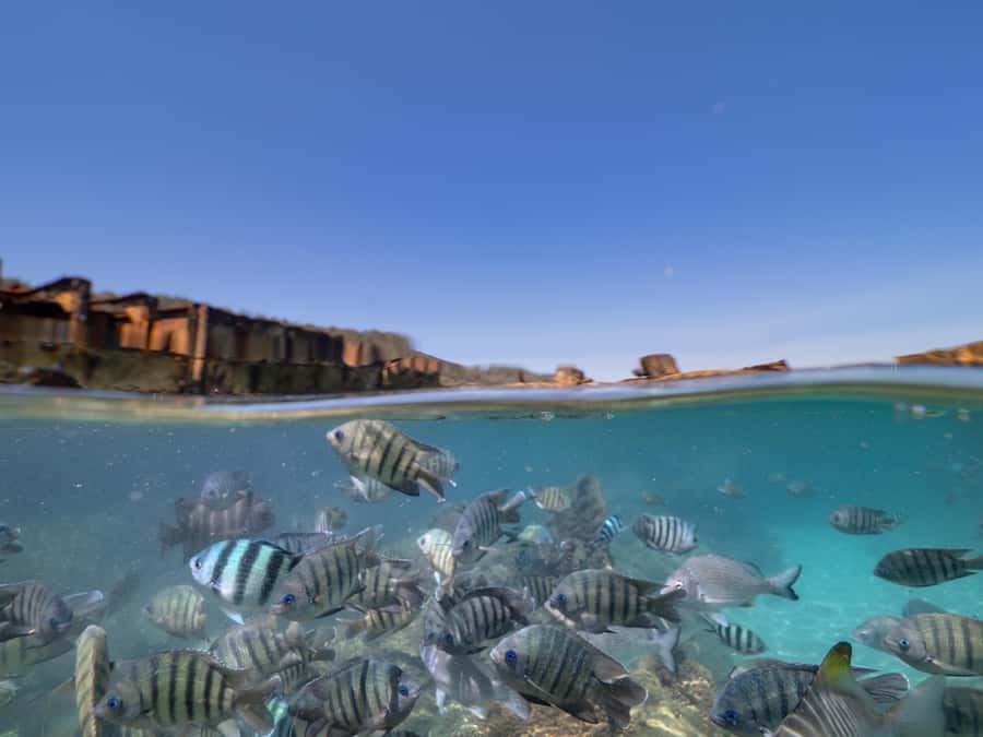 Brisbane: Moreton Island all inclusive Snorkeling Tour - Meeting the Supercat at 158 Griffith Road
