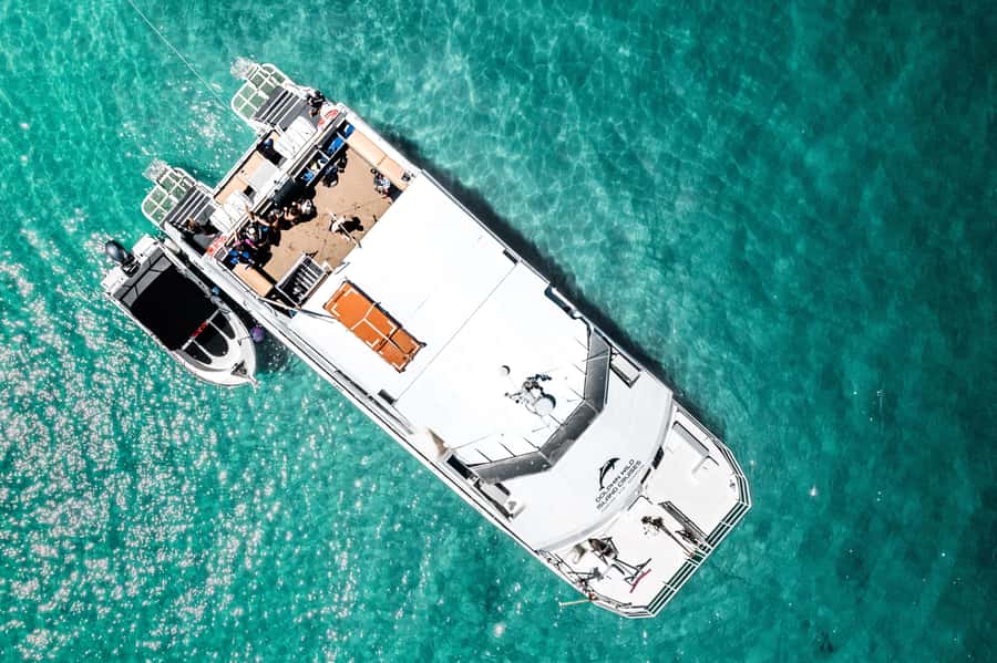 Brisbane: Moreton Island all inclusive Snorkeling Tour - Crew service makes the difference