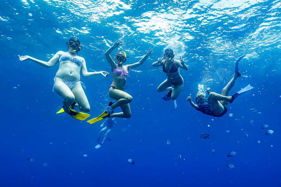 Brunswick Heads: Snorkelling in Byron Bay - Is $91 a fair price?