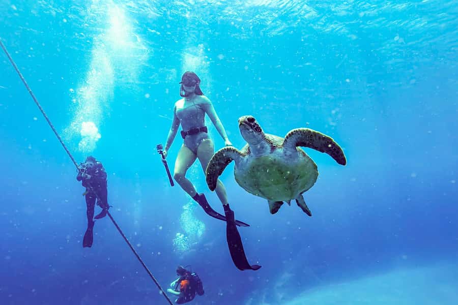 Brunswick Heads: Snorkelling in Byron Bay - Who should book this outing?