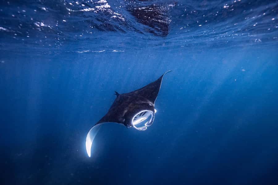 Brunswick Heads: Snorkelling in Byron Bay - Leaving Brunswick Heads on Apollo 2