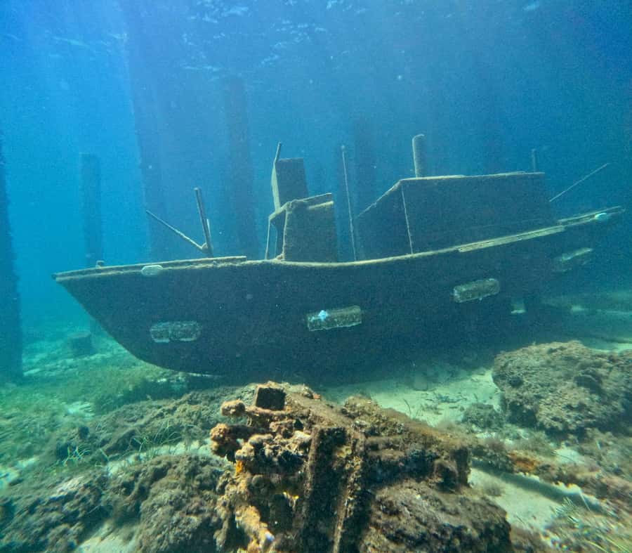 Busselton: Jetty Snorkeling Tour with Underwater Sculptures - Starting at Swan Dive on the Busselton Foreshore
