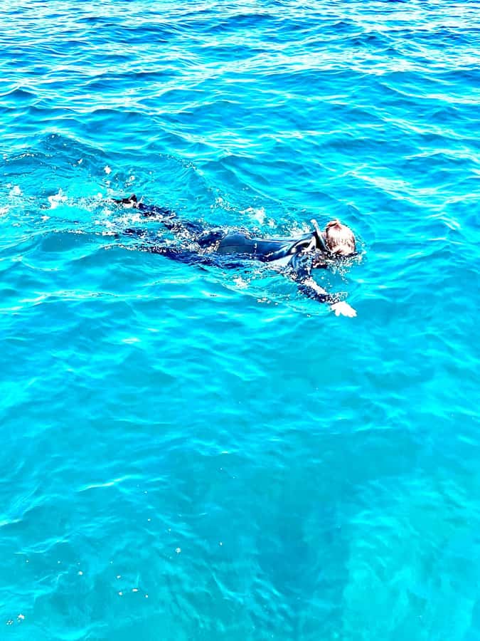 Busselton: Jetty Snorkeling Tour with Underwater Sculptures - The Boat Ride to the End of the Jetty