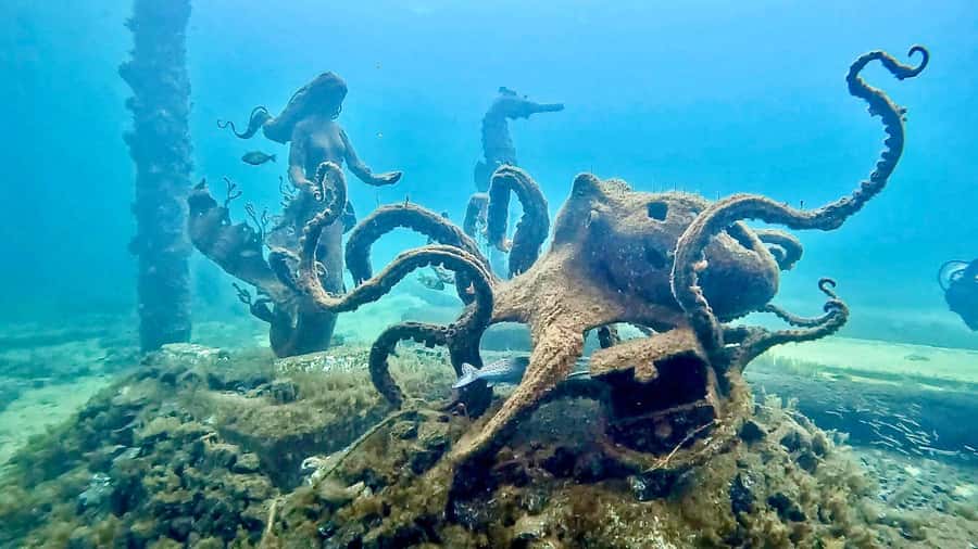 Busselton: Jetty Snorkeling Tour with Underwater Sculptures - Finding Mermaids, Whales, and Other Sculptures