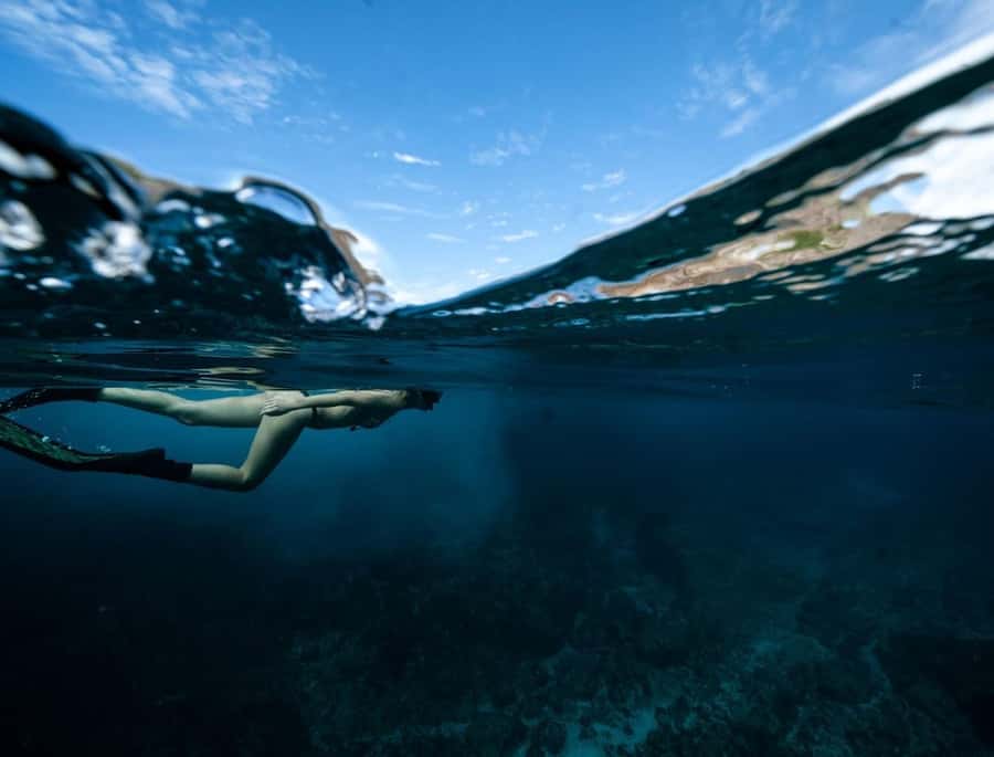 Byron Bay: Snorkeling Tour at Julian Rocks, Nguthungulli - What Happens at Nguthungulli