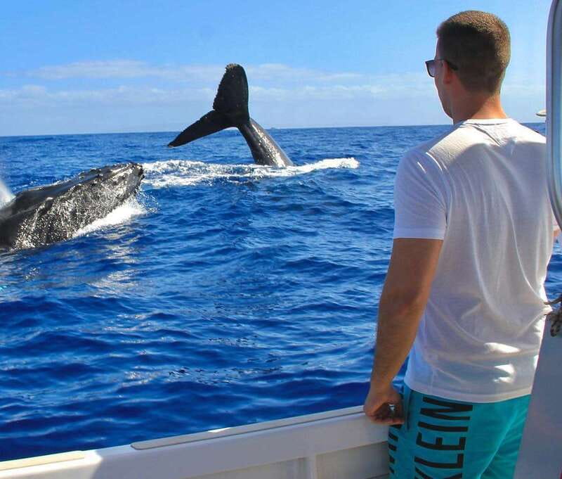 Cabo Catamaran Snorkel: Arch & Santa Maria, Open Bar, Snacks - Should you book this Cabo catamaran cruise?