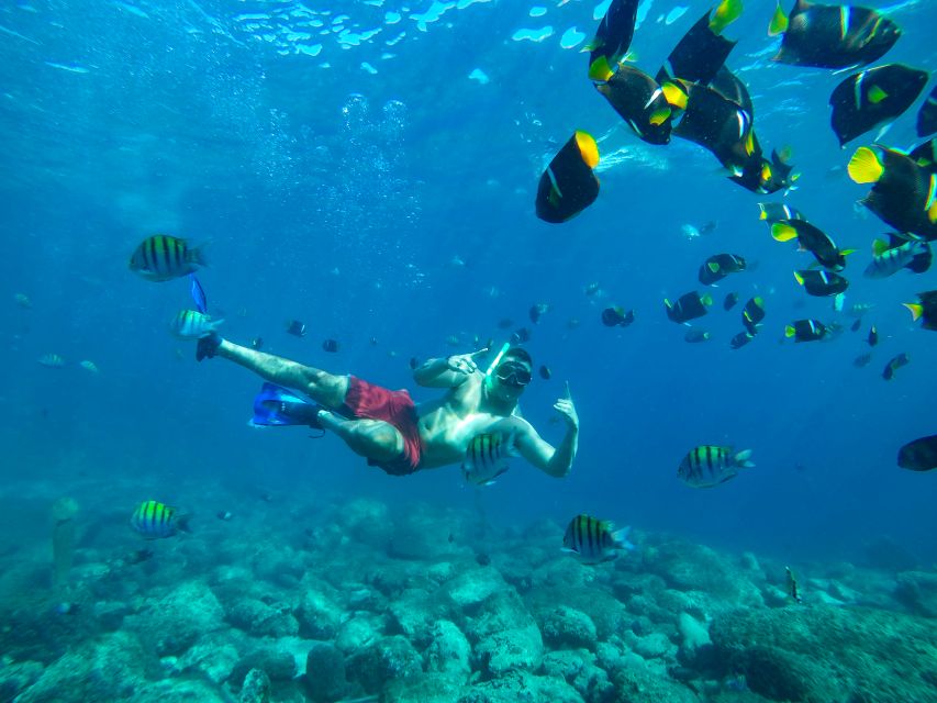 Cabo Catamaran Snorkel: Arch & Santa Maria, Open Bar, Snacks - Snacks, drinks, and the onboard mood