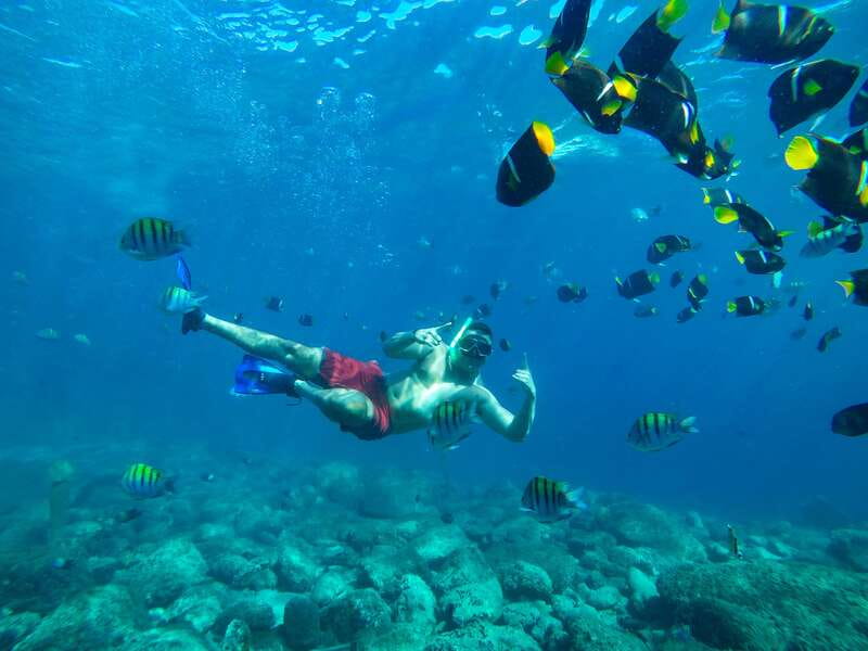 Cabo Catamaran Snorkel: Arch & Santa Maria, Open Bar, Snacks - What the $75 price really buys you