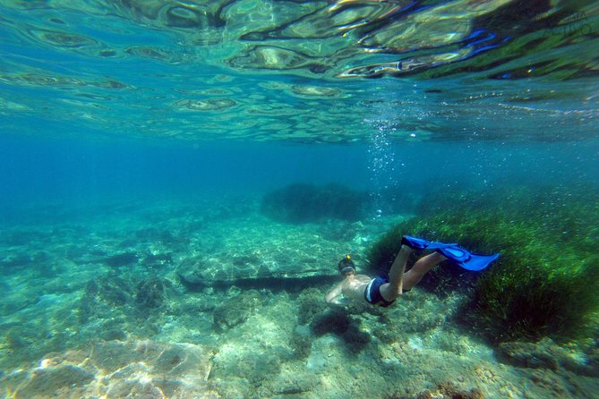 Cabo de Gata Active. Guided kayak and snorkel route through coves of the Natural Park - The snorkeling stop and what you may find below