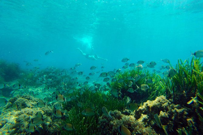 Cabo de Gata Active. Guided kayak and snorkel route through coves of the Natural Park - Guide quality and the feel of the outing