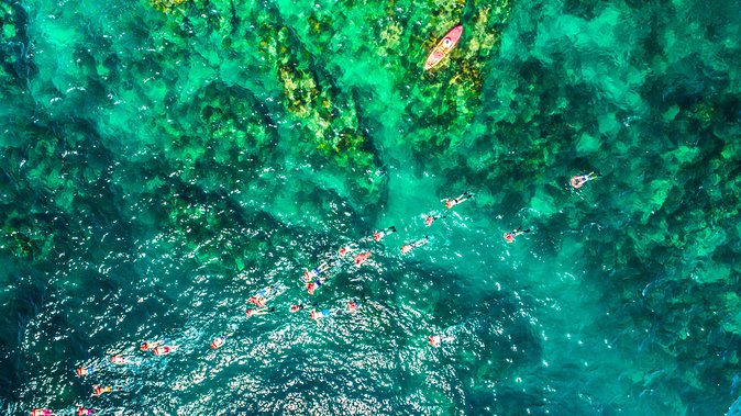 Cabo Escape Breakfast Snorkel Cruise - Is $300 per person a fair price?