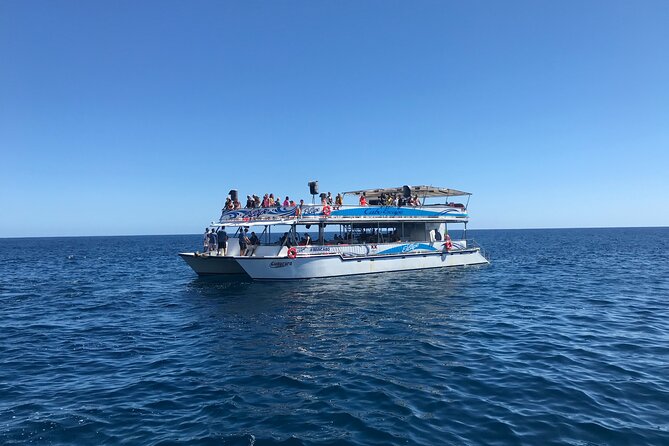 Cabo Escape Snorkel Fun Cruise - Practical details before you reserve