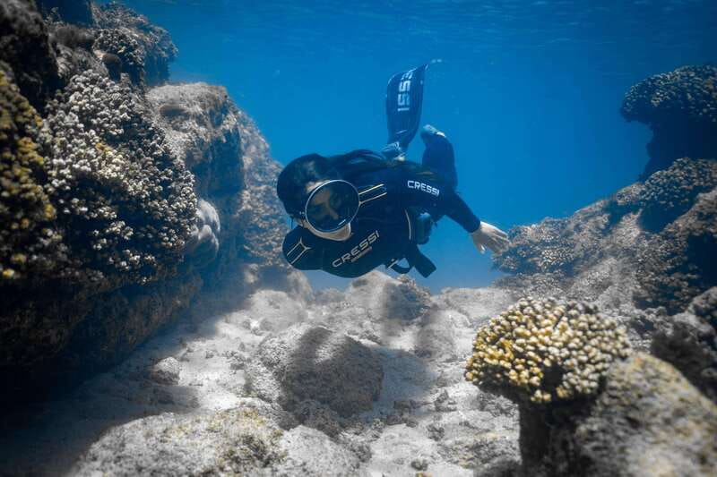 Cabo: Half-Day Kayak & Snorkel to Santa Maria & Chileno Bay - What the guides add to the experience