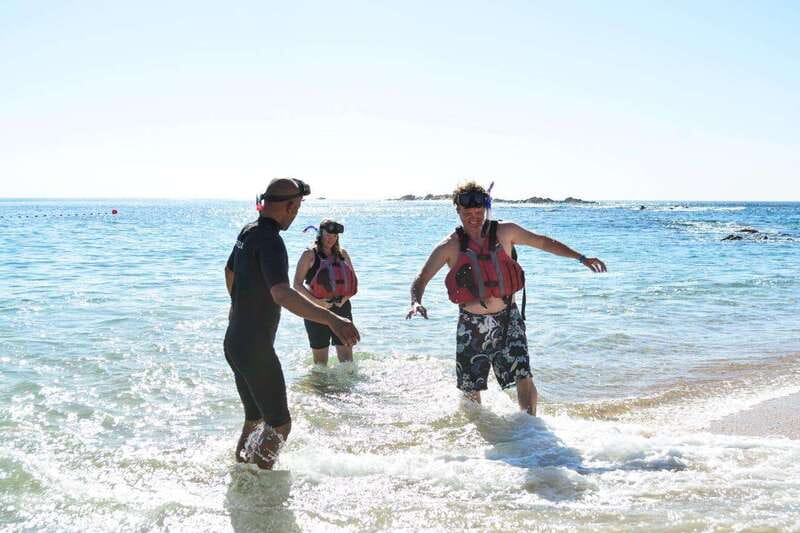 Cabo: Half-Day Kayak & Snorkel to Santa Maria & Chileno Bay - Whale season and what you might see