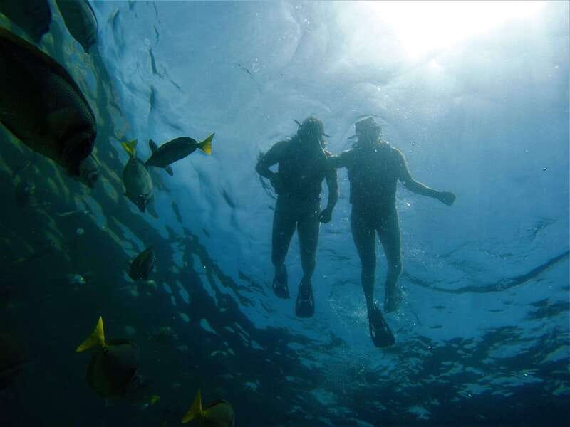 Cabo: Hidden Beach Day with Snorkeling in the Sea of Cortez - Ceviche, guacamole, and a beachside pause