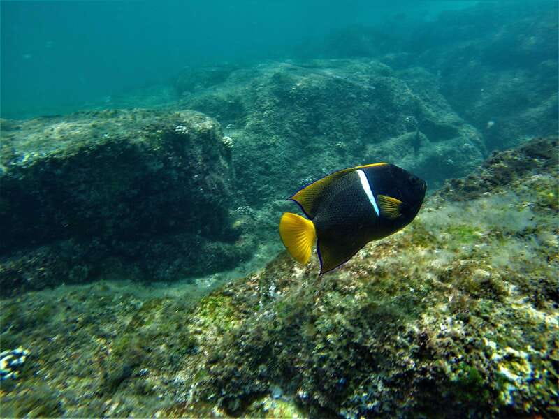 Cabo: Hidden Beach Day with Snorkeling in the Sea of Cortez - Who will enjoy this Cabo beach outing?