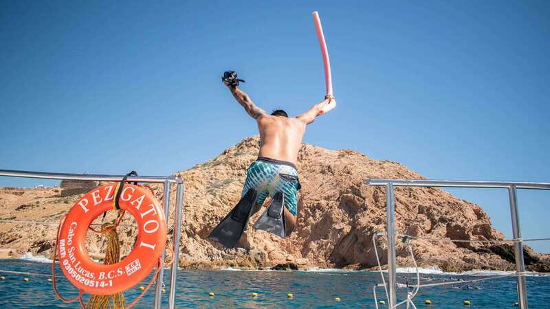 Cabo San Lucas: 4-Hour Snorkeling Cruise with Open Bar - What this Cabo cruise is really about