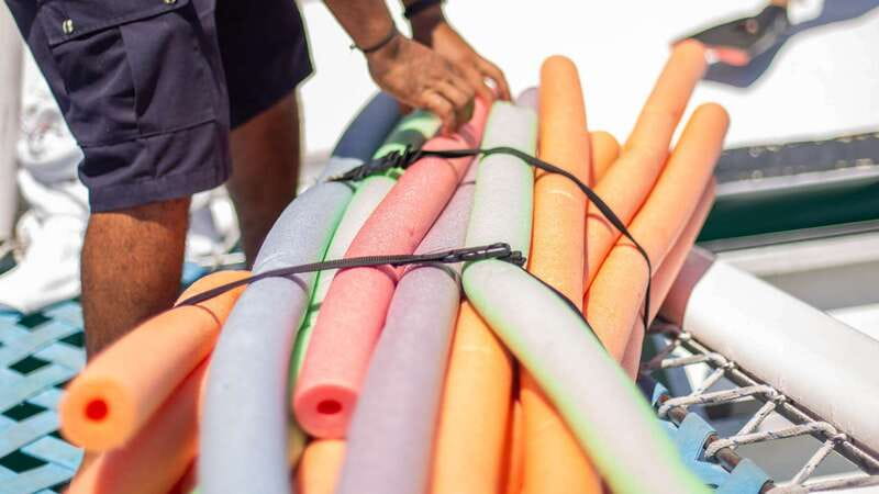 Cabo San Lucas: 4-Hour Snorkeling Cruise with Open Bar - Is $128 a fair price?