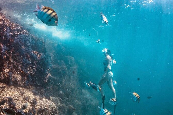 Cabo San Lucas Arch Boat Tour and Snorkeling at Pelican Rock - Timing can range from 45 minutes to two and a half hours