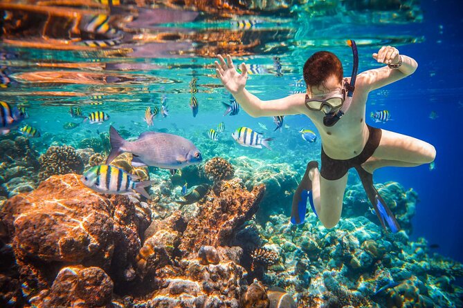 Cabo San Lucas Boat Tour and Snorkel at Pelican Rock - Timing problems you should understand
