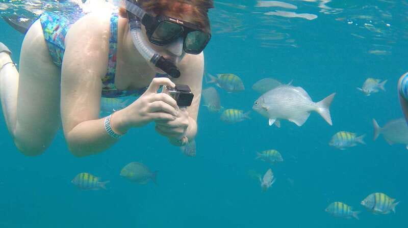 Cabo san Lucas: Paddle Boarding or Kayak and Snorkeling - What $78 buys you