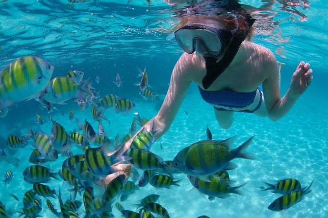 Cabo San Lucas Short Snorkeling Tour with Divemaster Guide - The boat ride to the protected bay