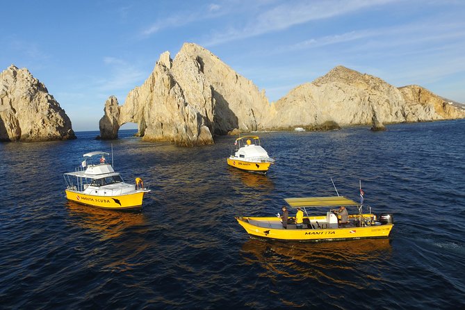Cabo San Lucas Short Snorkeling Tour with Divemaster Guide - Who should book, and who should think twice?