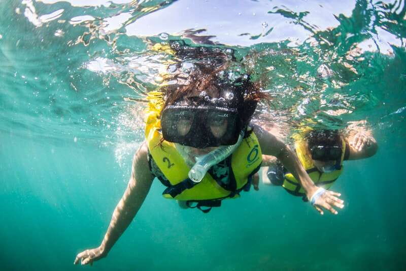 Cabo San Lucas: Snorkel, Lunch and Sail Experience - Key points to know before booking