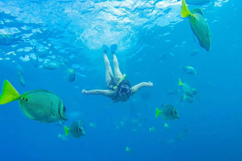 Cabo San Lucas: Snorkel, Paddle-board, and/or Kayak Tour - Four water sports in one Cabo outing