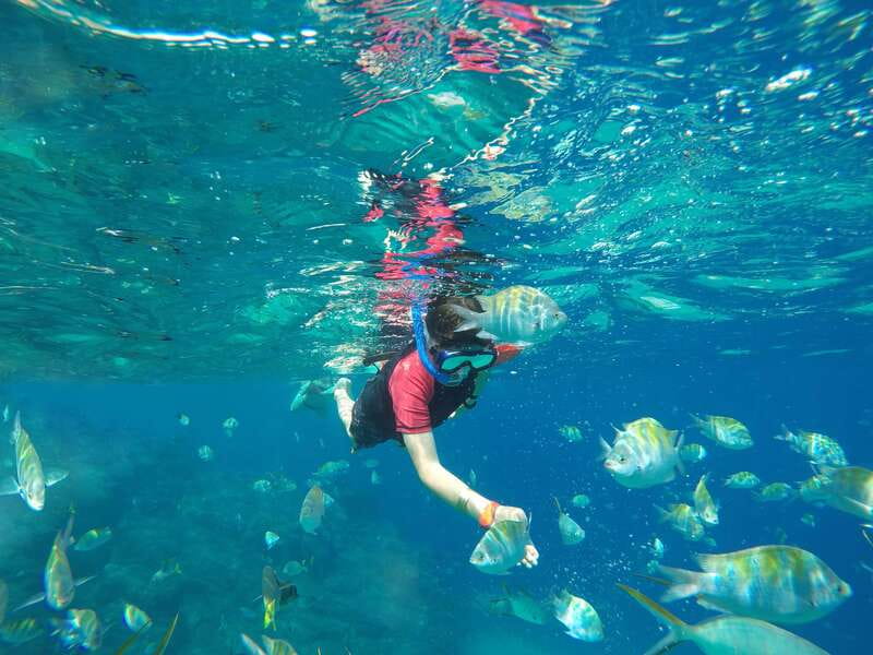 Cabo San Lucas: Snorkel, Paddle-board, and/or Kayak Tour - Guides, safety, and the beginner experience