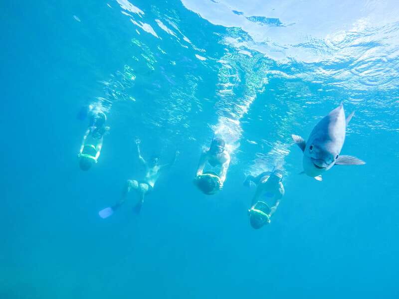 Cabo San Lucas: Snorkel, Paddle-board, and/or Kayak Tour - Reaching Cabo San Lucas Bay by inflatable boat
