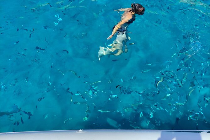 Cagliari Boat Tour with Sardatrips; Swim, Snorkeling, Sip & Snack - Setting out from Cagliari’s port