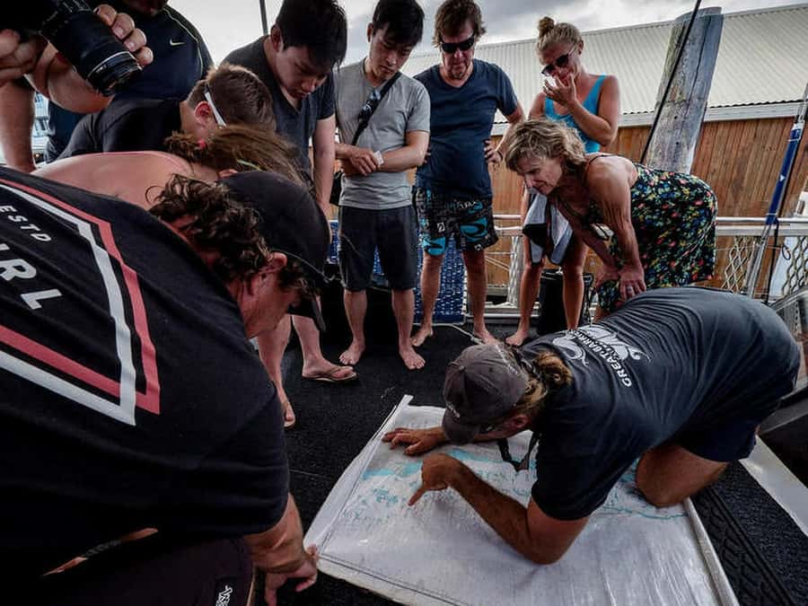 Cairns: 2-Day Great Barrier Reef Dive and Snorkel Boat Trip - Quick take: the details that matter most
