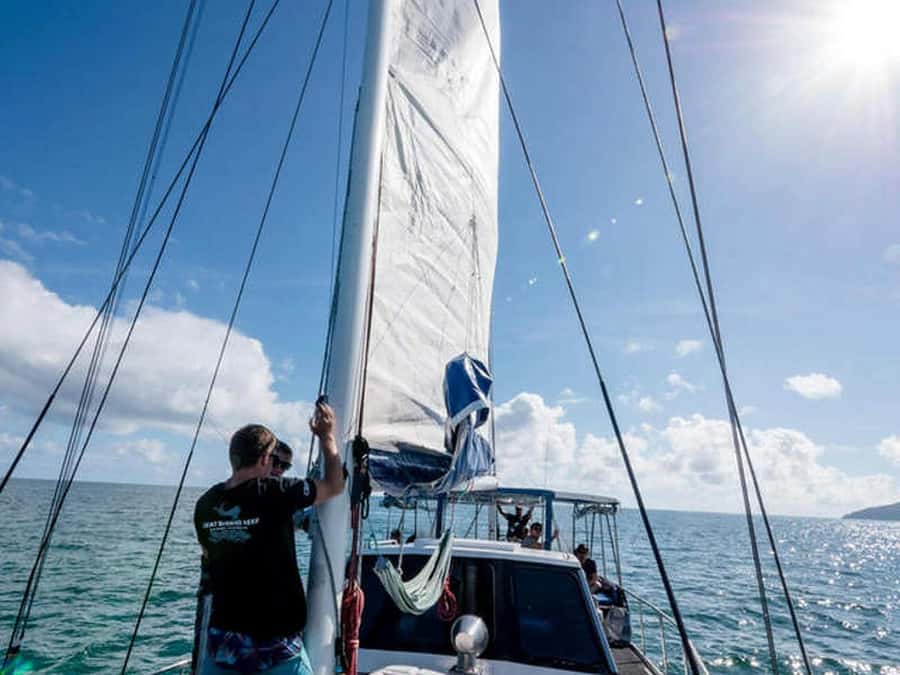 Cairns: 2-Day Great Barrier Reef Dive and Snorkel Boat Trip - Snorkeling for beginners and confident swimmers