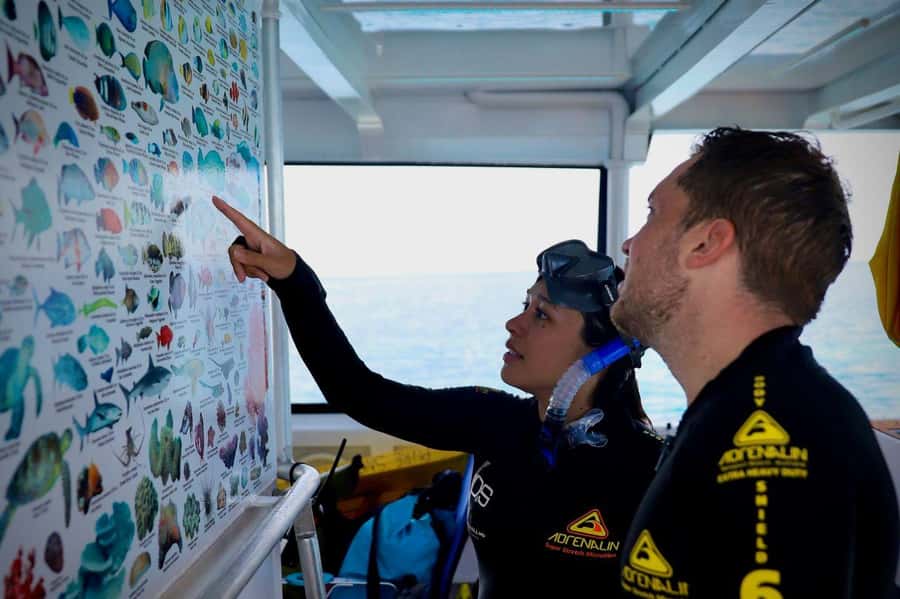 Cairns: All-Inclusive Great Barrier Reef Half-Day Snorkeling - Key Points for Choosing This Cairns Reef Trip
