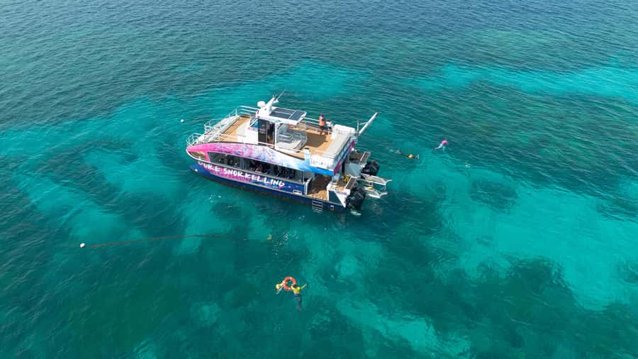 Cairns: All-Inclusive Great Barrier Reef Half-Day Snorkeling - Why the Half-Day Format Works