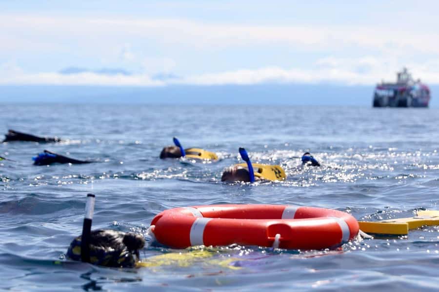 Cairns: All-Inclusive Great Barrier Reef Half-Day Snorkeling - Good Gear, Practical Comforts, and Afternoon Snacks