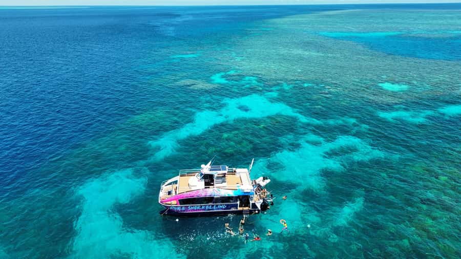 Cairns: All-Inclusive Great Barrier Reef Half-Day Snorkeling - Check-In at Cairns Marlin Marina