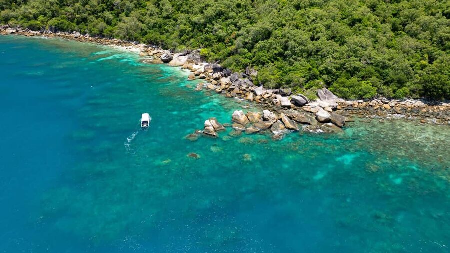 Cairns: Fitzroy Island Ferry, optional lunch, tours, snorkel - Getting from Cairns Marina to Fitzroy Island