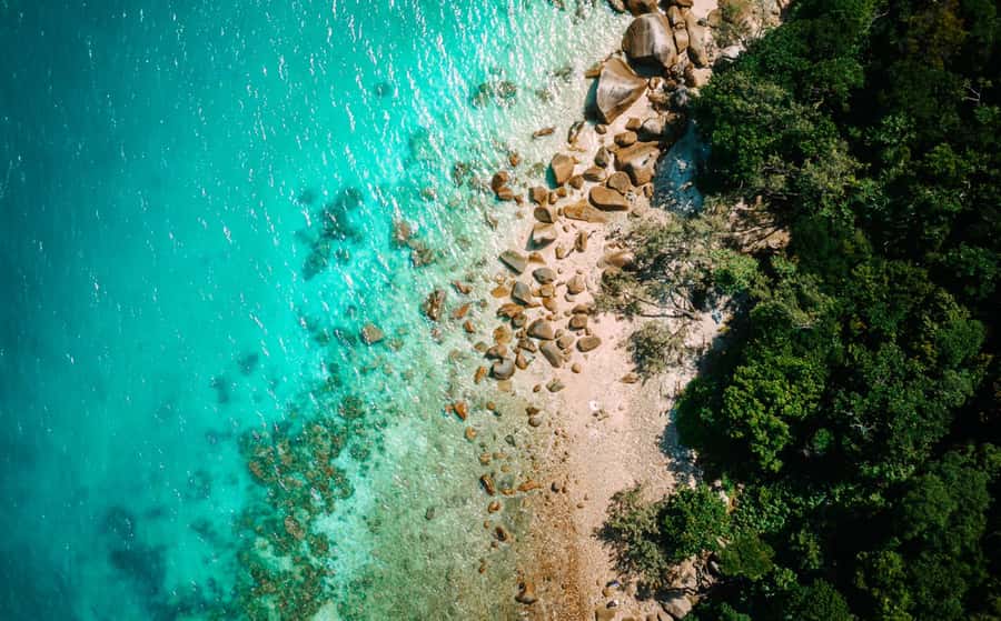 Cairns: Fitzroy Island Ferry w/ Snorkel, Lunch, Tour Options - Key points at a glance