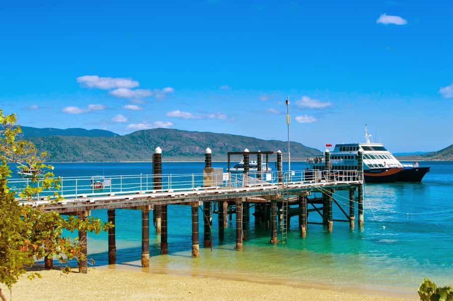 Cairns: Fitzroy Island Ferry w/ Snorkel, Lunch, Tour Options - Nudey Beach and the rainforest trails