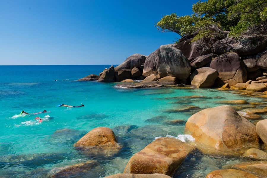 Cairns: Fitzroy Island Ferry w/ Snorkel, Lunch, Tour Options - Getting from Cairns Marina to the island