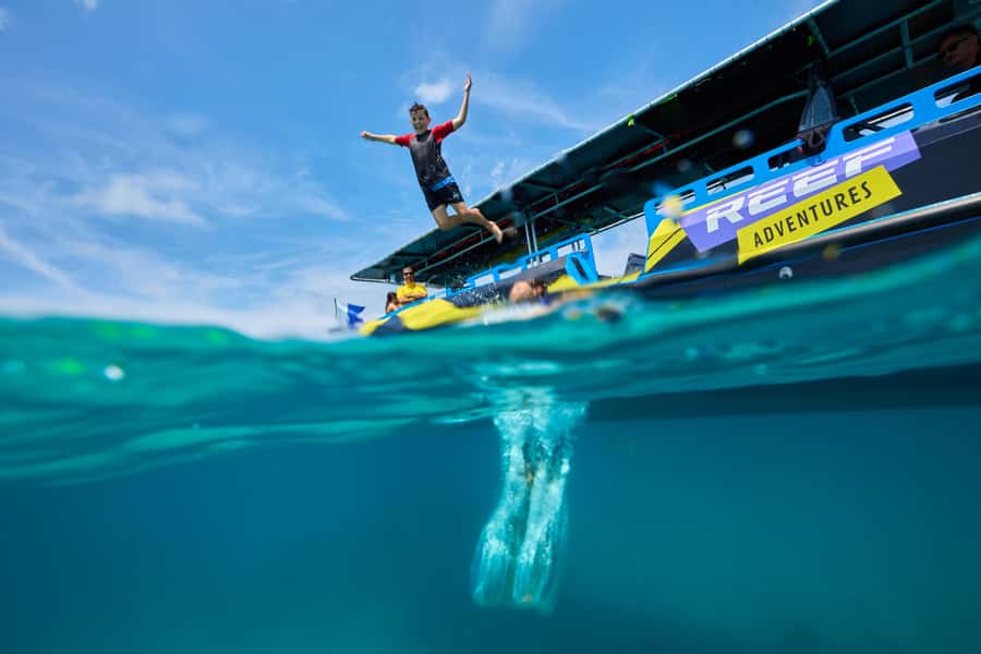 Cairns: Great Barrier Reef Half-Day Snorkelling Tour - Key things to know before booking