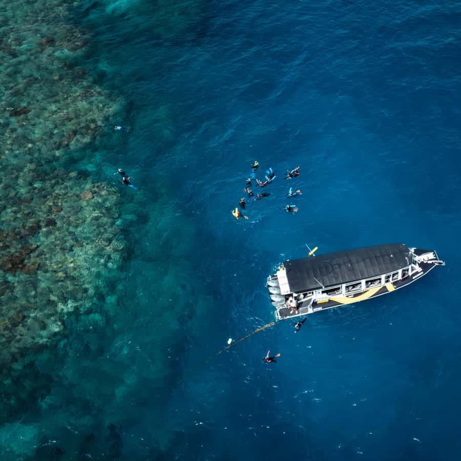 Cairns: Great Barrier Reef Half-Day Snorkelling Tour - Meeting the crew at Cairns Marlin Marina