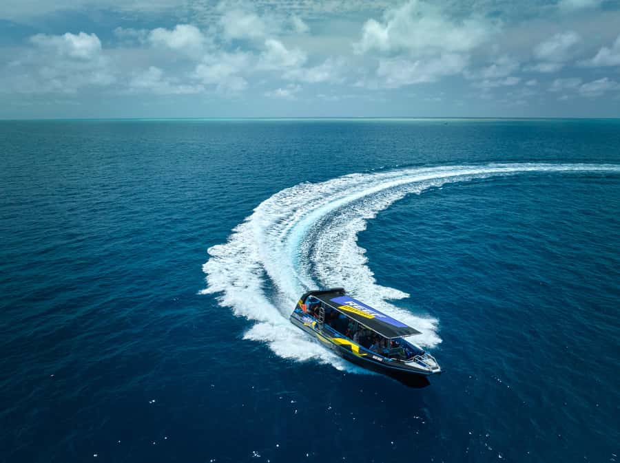 Cairns: Great Barrier Reef Half-Day Snorkelling Tour - Equipment, comfort, and help in the water