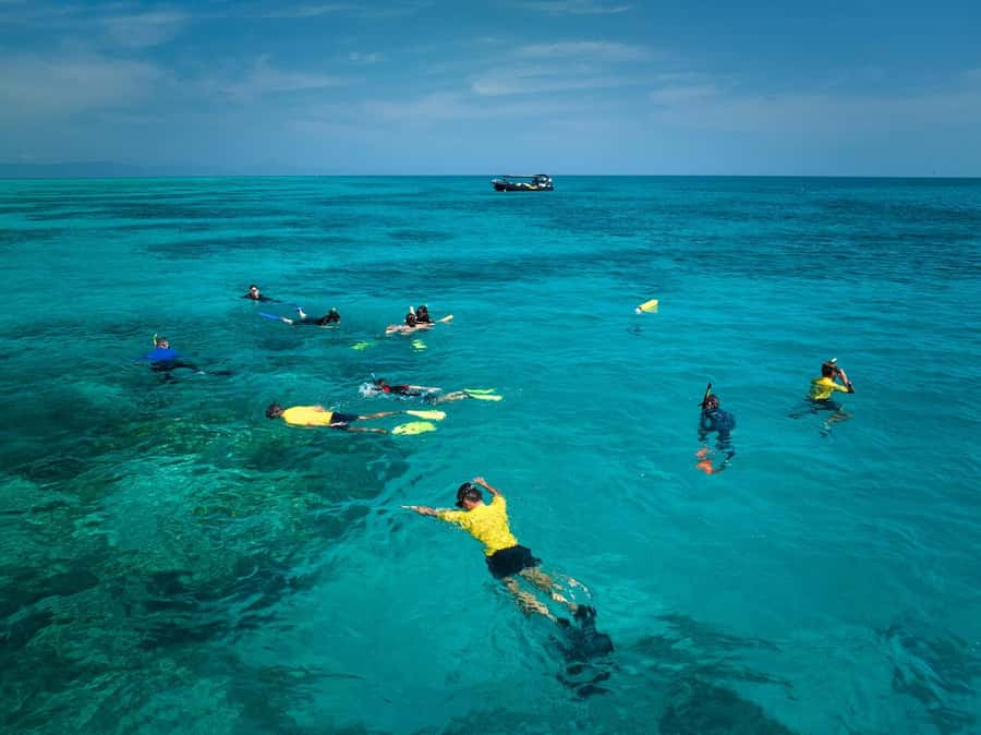 Cairns: Great Barrier Reef Half-Day Snorkelling Tour - What the return trip is like