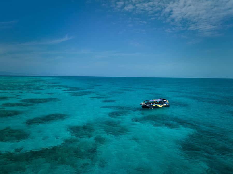 Cairns: Great Barrier Reef Half-Day Snorkelling Tour - The fast boat ride out to the reef
