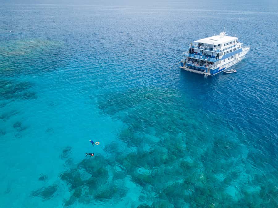 Cairns: Great Barrier Reef Overnight Snorkelling Boat Trip - From Cairns to OceanQuest