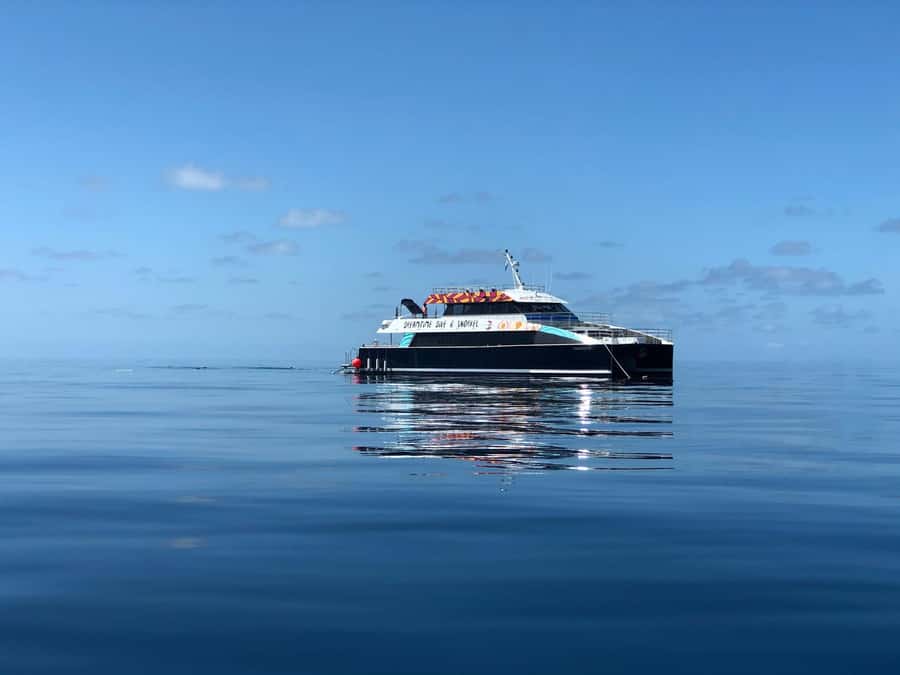 Cairns: Great Barrier Reef Premium Diving Full Day Tour - Leaving Cairns for the outer reef